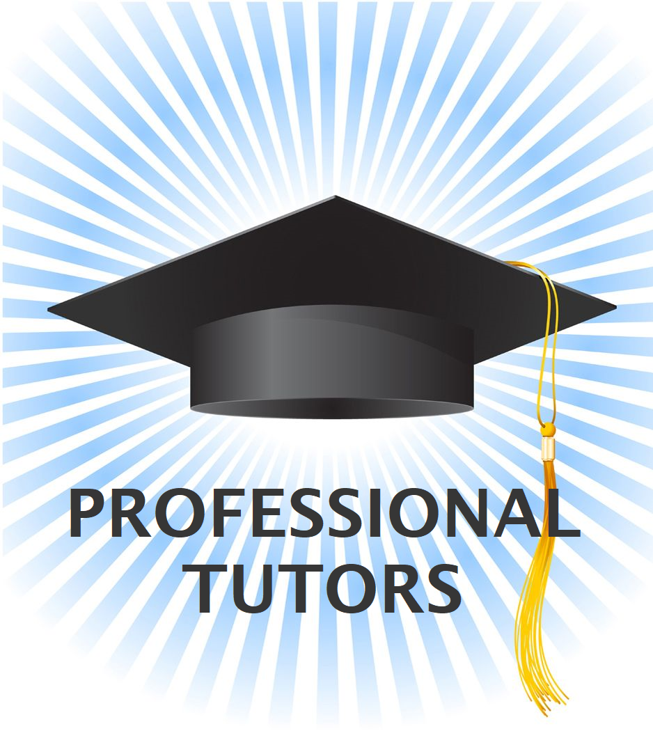 PROFESSIONAL TUTORS
